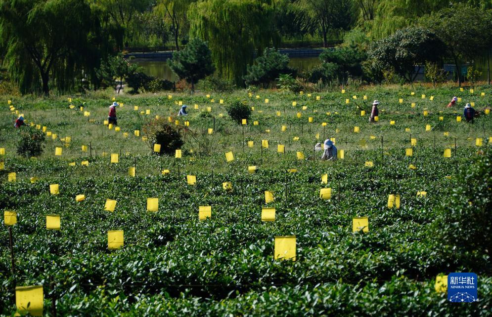 9159 金沙游戏场